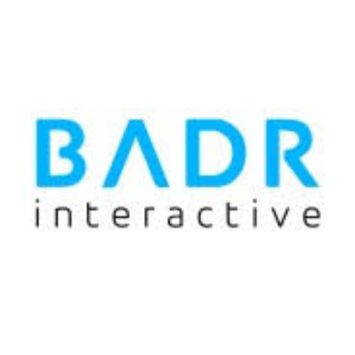 PT Badr Interactive